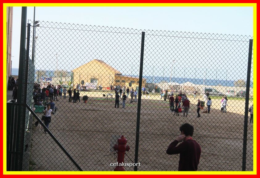 180311 mostra_canina 001.jpg
